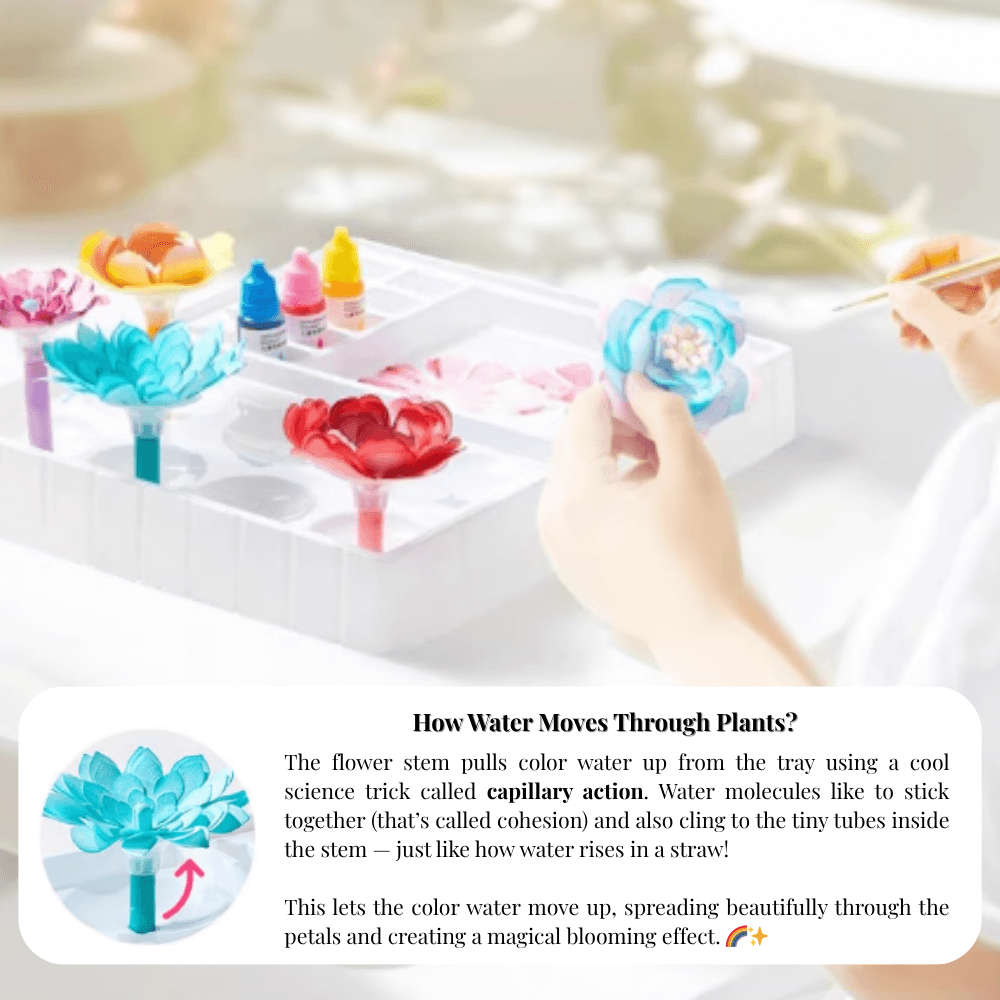 BloomJoy™ Magic Petal Flower Art Kit