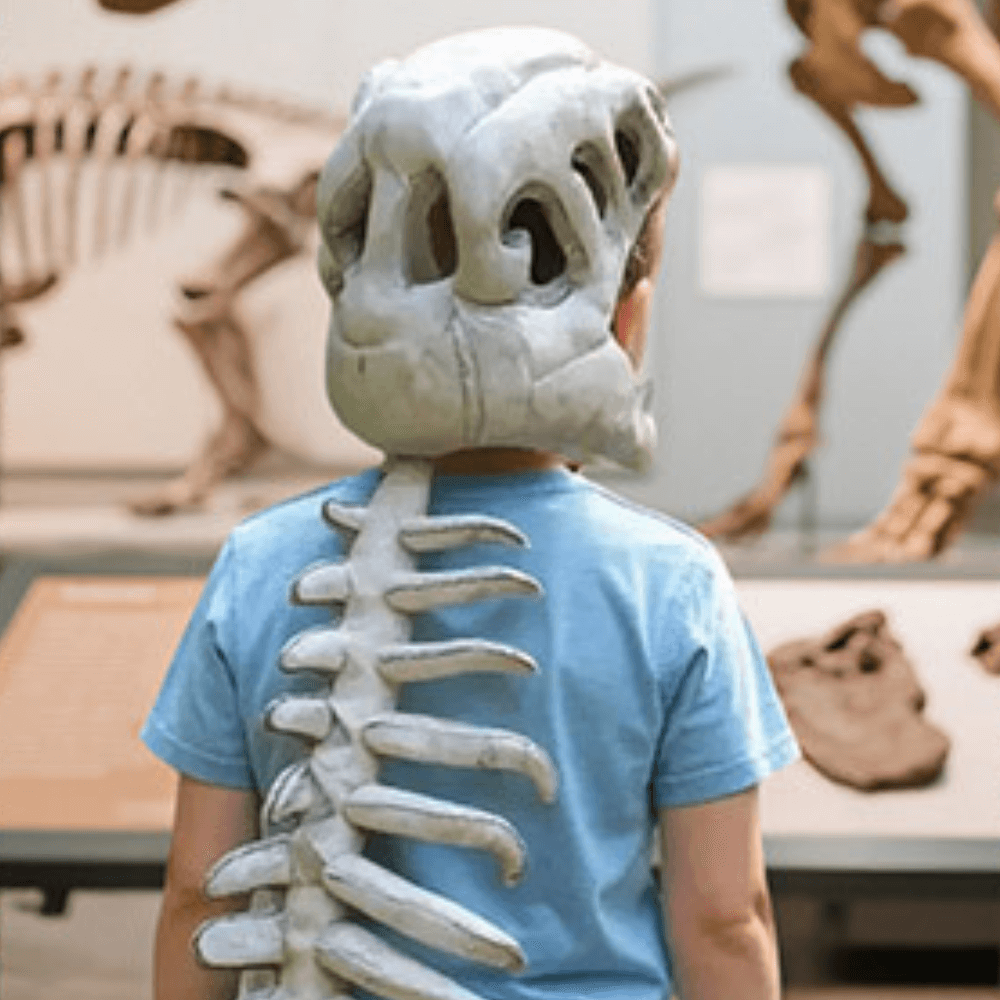 SpineSaurus™ Plush Dino Outfit